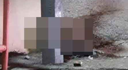 Eskişehir'in göbeğinde görülen hayvan şaşkınlık yarattı