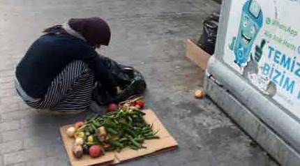 Eskişehir'in göbeğinde yürekleri sızlatan görüntü... Çöpten topladı...