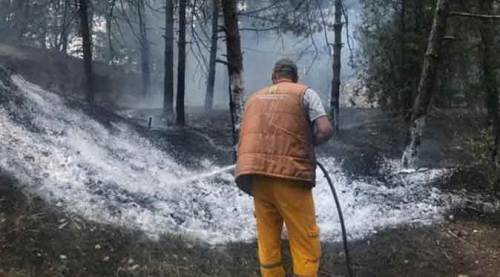 Eskişehir'in gözde tepesi az kalsın kül olacaktı!