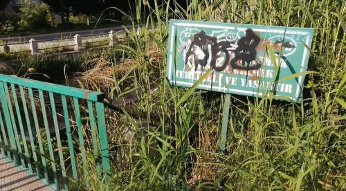 Eskişehir’in her noktasına saldırıyorlar