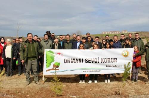 Eskişehir'in ilçelerinde binlerce fidan toprakla buluştu