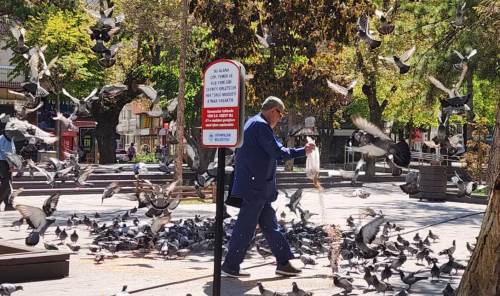Eskişehir’in kalbi Hamamyolu'nda kuşlar büyük ilgi görüyor