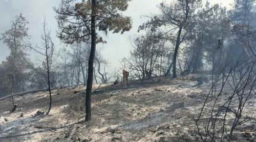 Eskişehir'in komşusu yanıyor! Yeniden kontrolden çıktı...