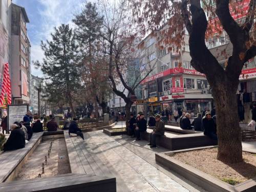 Eskişehir'in merkezinde güneşi gören kendini sokağa attı