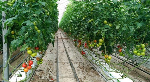 Eskişehir'in milyonluk projelerine onay