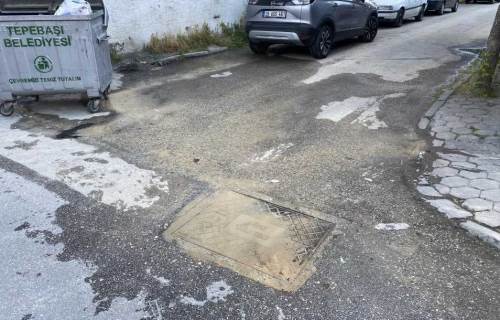 Eskişehir'in o mahallesinde bezdiren görüntü