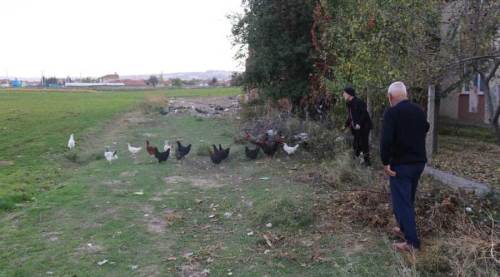 Eskişehir'in o mahallesine dadanan tehlike vatandaşı uyutmuyor!