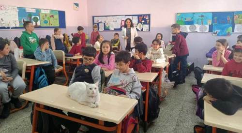 Eskişehir'in okuyan kedisini çocuklar çok sevdi