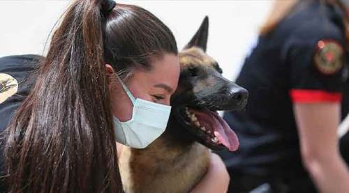 Eskişehir'in özel köpekleri!