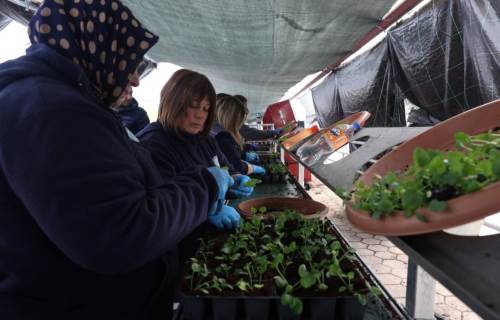 Eskişehir’in park ve bahçeleri kışın da rengârenk olacak