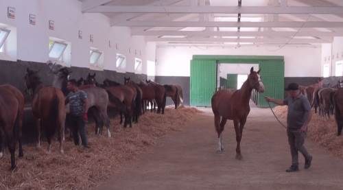 Eskişehir'in şampiyonları satışa çıkıyor! İşte detaylar...