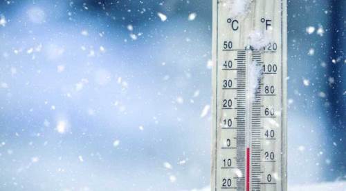 Eskişehir'in soğuğunda onlara iyi bakın: Ölmesinler!