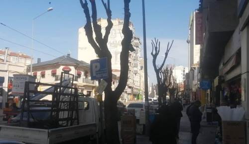 Eskişehir'in sokaklarında bahar hazırlıkları başladı