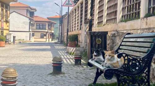 Eskişehir'in sokaklarının tadını onlar çıkardı!