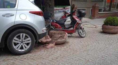 Eskişehir'in talihsiz saksısı 1 ay bile dayanamadı