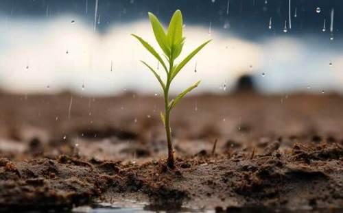 Eskişehir'in toprağı, suyu, ormanları risk altında!