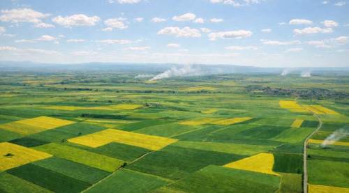 Eskişehir'in toprakları bir zafer daha kazandı!
