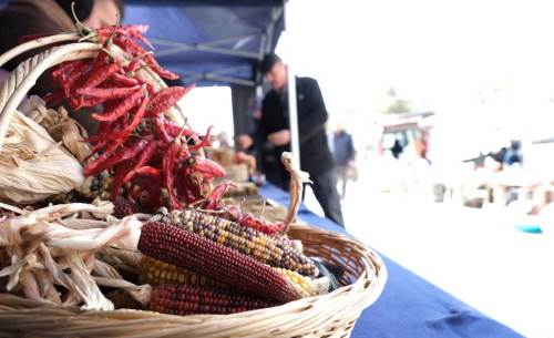 Eskişehir'in topraklarına can geldi: Büyükşehir dağıtıyor!
