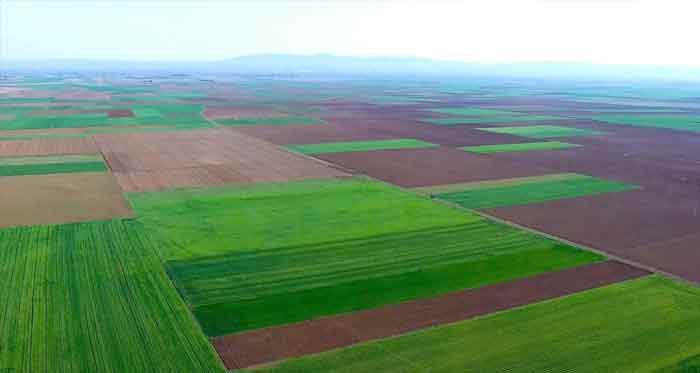 Eskişehir'in vukuatlı direği!