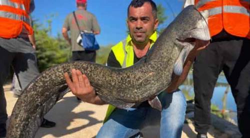 Eskişehir'in yanı başındaki festivalde hayrete düşüren görüntü
