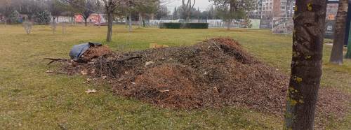 Eskişehir’in yeşil alanlarında temizlik mesaisi