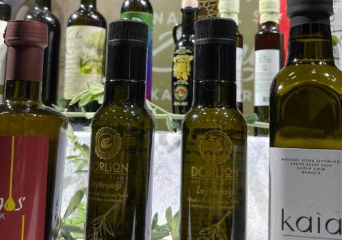 Eskişehir'in zeytinyağı markasına 4 ödül birden!