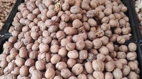 Eskişehir kabuklu cevize yöneldi!