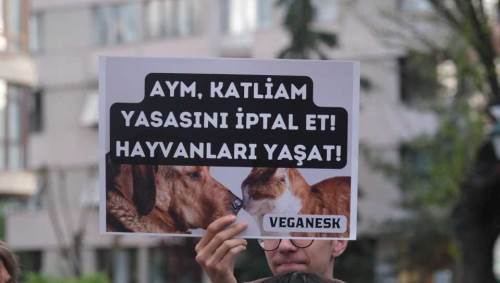 Eskişehir kanlı yasaya isyan etti!