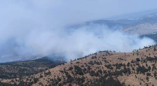 Eskişehir kavurucu sıcakta korkulanı yaşıyor: Orman yangını...