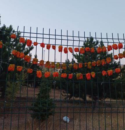 Eskişehir kışa hazırlanıyor