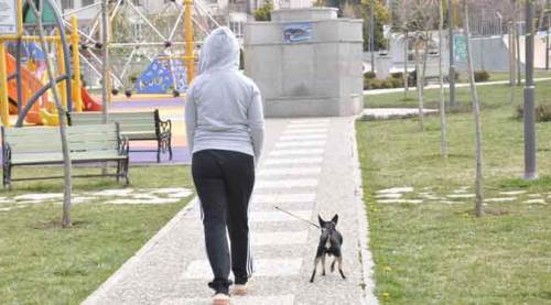 Eskişehir kızarınca, parklar onlara kaldı!