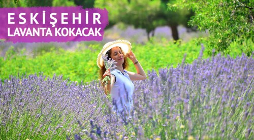 Eskişehir lavanta kokacak