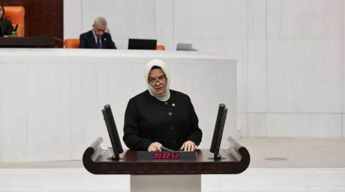 Eskişehir milletvekili hepsini açıkladı: Doğal gaz desteği, koruyucu aile uygulaması...