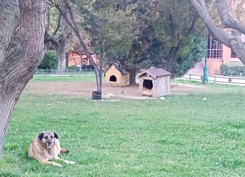 Eskişehir önemli dengeyi böyle sürdürüyor