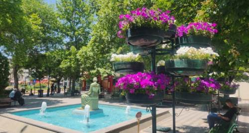 Eskişehir onlarla renk cümbüşü yaşıyor