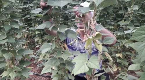 Eskişehir onu çok seviyor ama fiyatı...