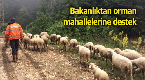 Eskişehir orman mahallelerine 29,7 milyon destek