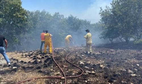 Eskişehir orman yangınında son durum