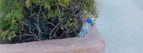 Eskişehir Otogar çevresinde saksılar çöplüğe döndü