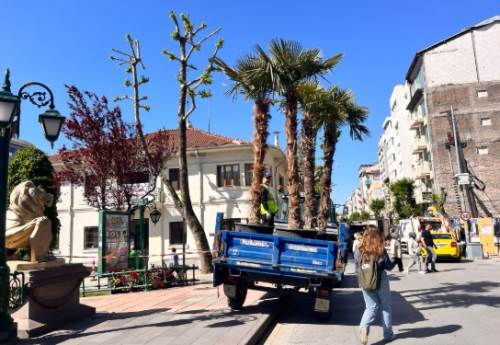 Eskişehir palmiyelerine kavuştu