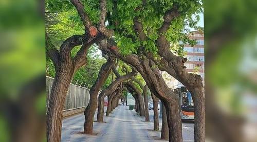 Eskişehir paylaşımı Facebook'u salladı!