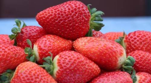 Eskişehir pazarındaki fiyatı vatandaşı şaşırttı