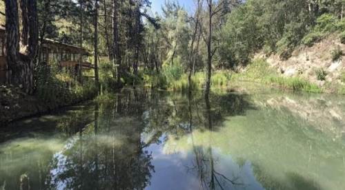 Eskişehir Piknik Yerleri: Doğayla İç İçe Keyifli Molalar