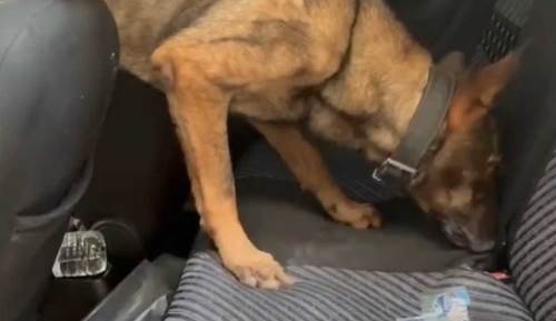 Eskişehir polisi 1 kilo 46 gram kokain ele geçirdi