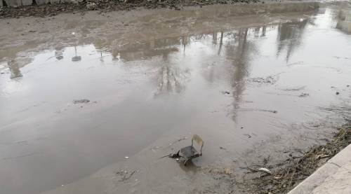 Eskişehir Porsuk Çayı için yetkililere önemli çağrı!