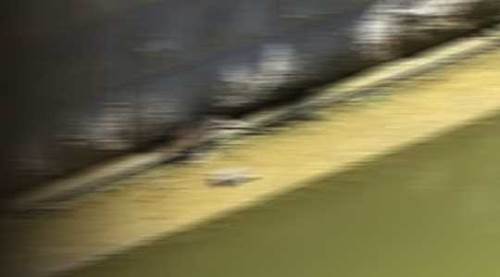 Eskişehir Porsuk Çayı'nın belalıları yine ortaya çıktı