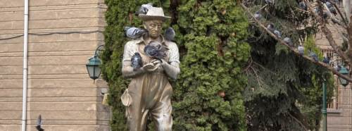 Eskişehir Reşadiye Camii parkında kuşlardan görsel şölen