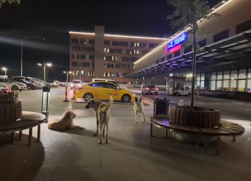 Eskişehir Şehir Hastanesi'nde büyük tedirginlik!