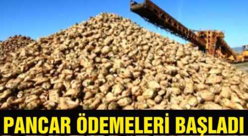 Eskişehir Şeker’de pancar ödemeleri başladı