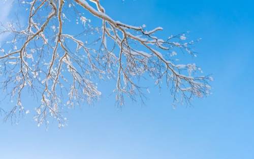 Eskişehir soğuk havanın etkisinde kalacak! İşte hava durumu...